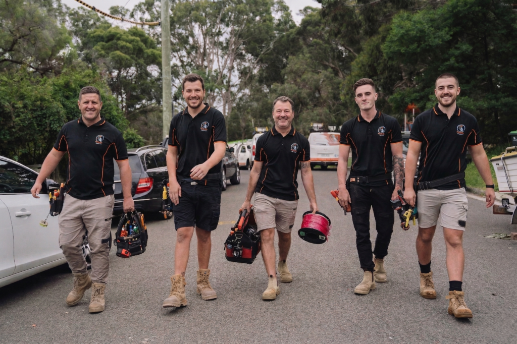 Professional electrical services in Kingsgrove